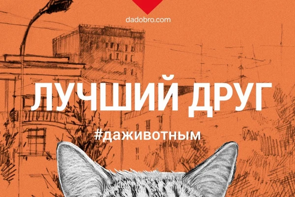 Поможем животным вместе!
