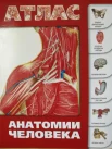 Левкин С. С., Атлас анатомии человека
