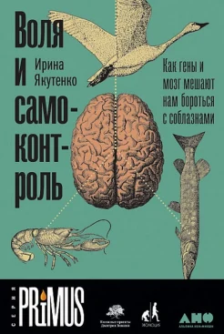 Якутенко И., Воля и самоконтроль: как гены и мозг мешают нам бороться с соблазнами
