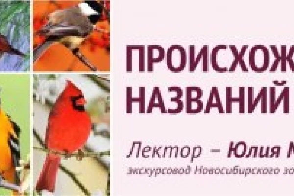 Сентябрь - месяц знаний! «Происхождение названий птиц»