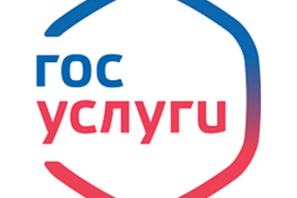 Мастер-класс «Возможности портала Госуслуги»