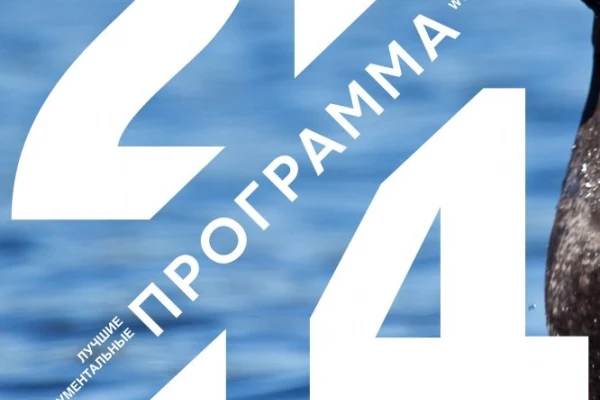 «Гоголиное озеро». Медиаклуб в библиотеке «Программа 20/14»