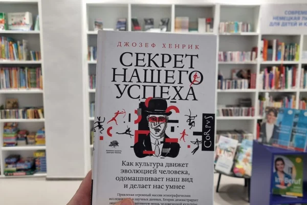 Новые поступления