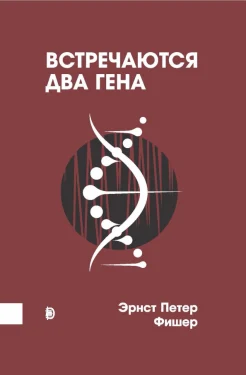 Фишер Э. П., Встречаются два гена. Что такое гены и как они влияют на нашу жизнь