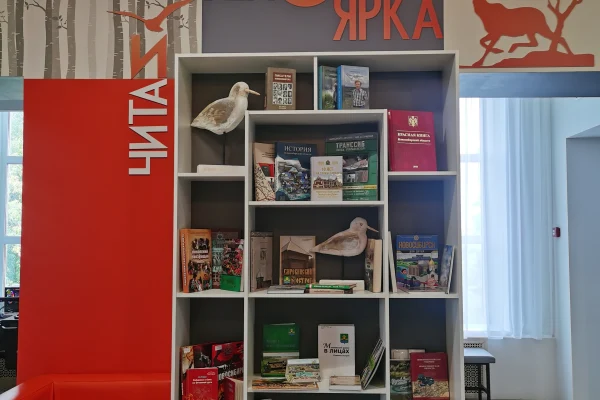 Ещё две модельные библиотеки открыты в Новосибирской области