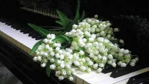 «Весна идёт, весне дорогу!»: концерт вокальной музыки из цикла «Viva, Classica!»