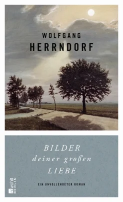 Herrndorf W. Bilder deiner großen Liebe