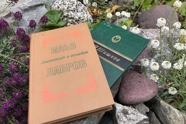 «Сибирь на страницах»