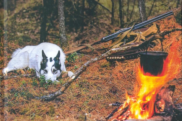 Книга в дар