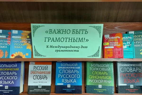 Неделя грамотности в НГОНБ