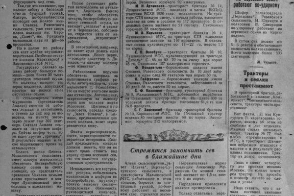 Цифровые коллекции местной печати