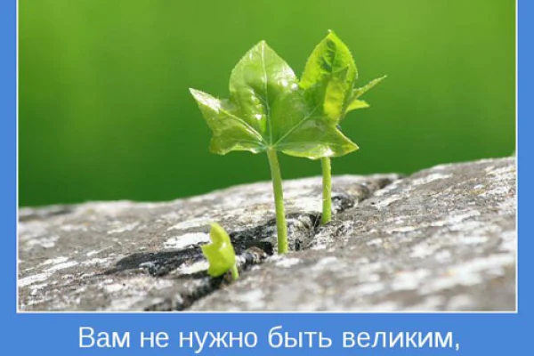 Продолжается областной конкурс мотиваторов чтения