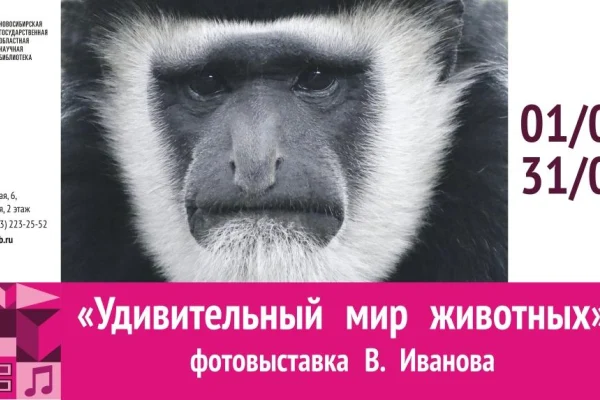 Удивительный мир животных