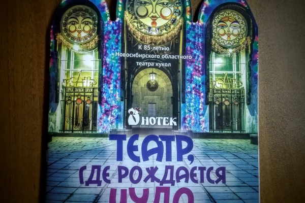 Семинар проекта «Театр в библиотеке» провели в Краснообске
